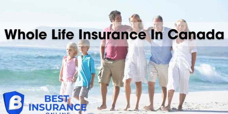 Whole Life Insurance in Canada
